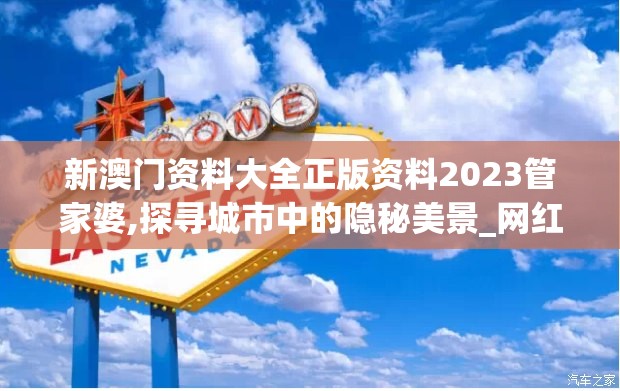 新澳门资料大全正版资料2023管家婆,探寻城市中的隐秘美景_网红版Hdd.0.751