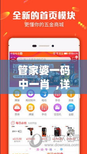 管家婆一码中一肖  ,详细解读解释落实_统筹版.9.304