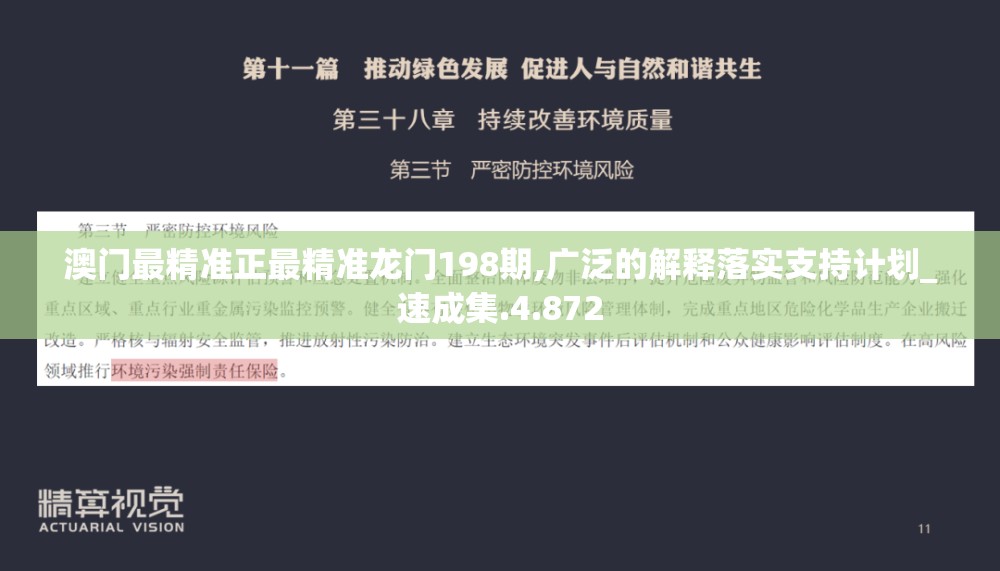 澳门最精准正最精准龙门198期,广泛的解释落实支持计划_速成集.4.872