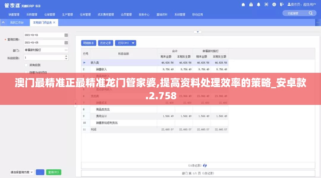 澳门最精准正最精准龙门管家婆,提高资料处理效率的策略_安卓款.2.758