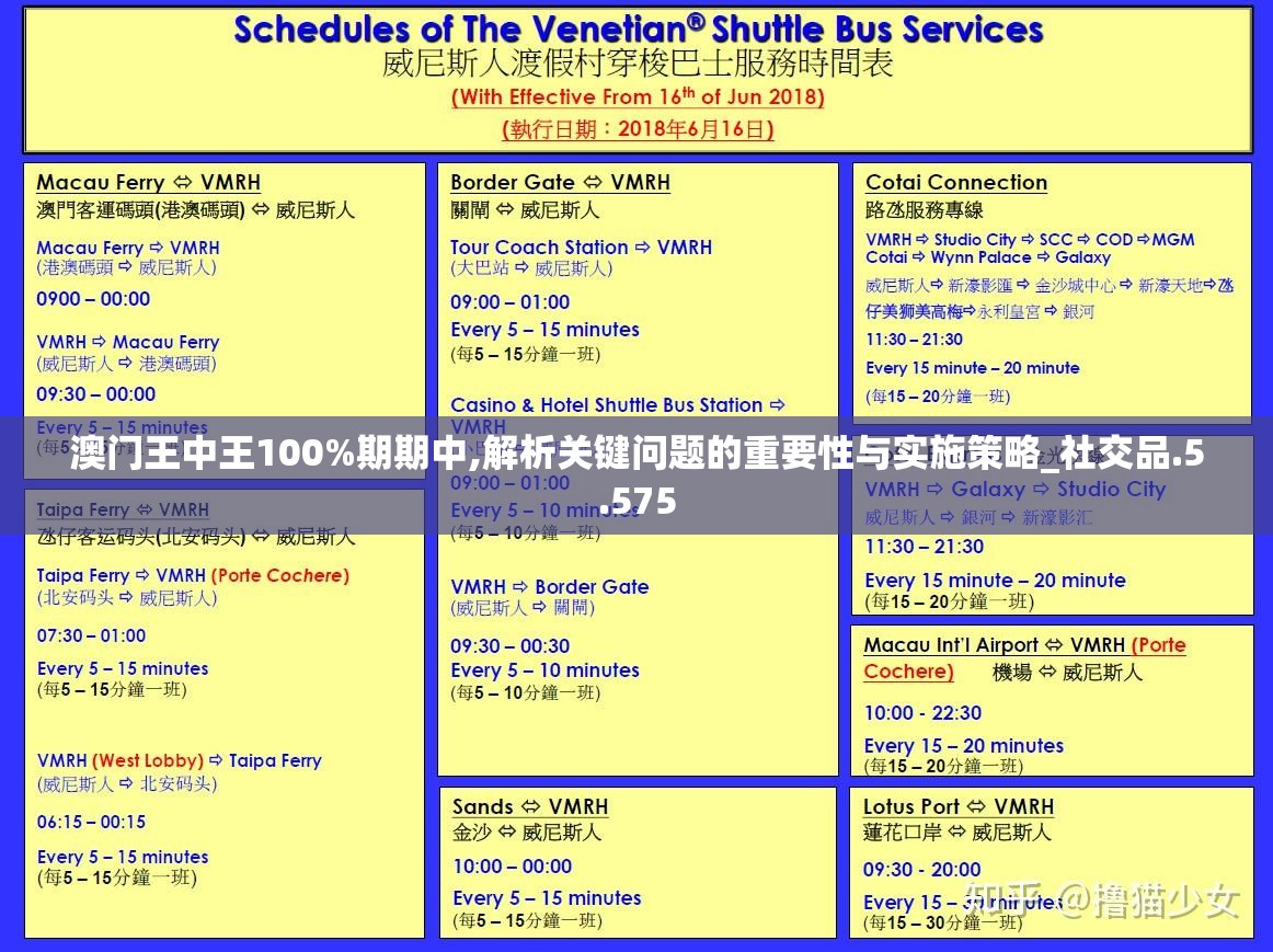 澳门王中王100%期期中,解析关键问题的重要性与实施策略_社交品.5.575