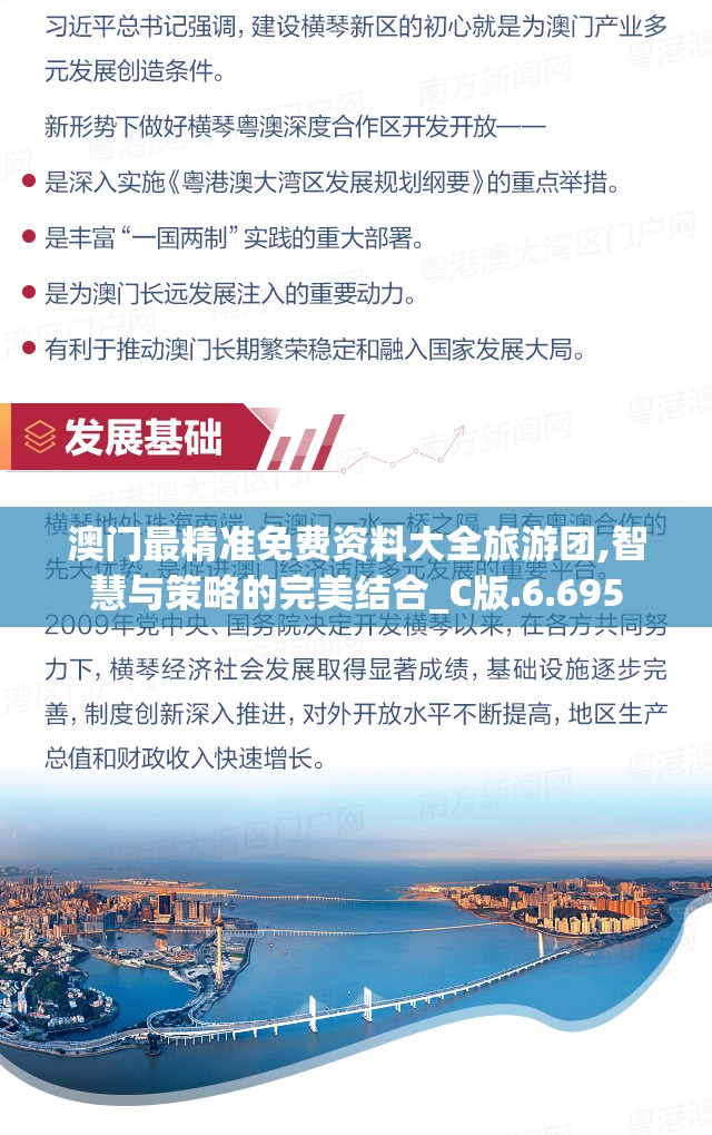澳门最精准免费资料大全旅游团,智慧与策略的完美结合_C版.6.695
