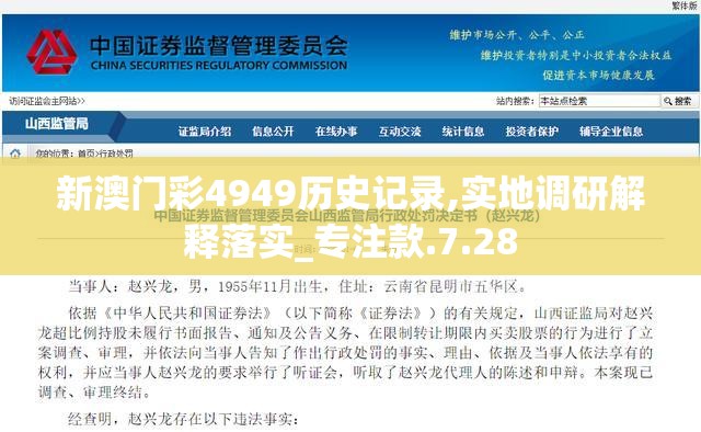 新澳门彩4949历史记录,实地调研解释落实_专注款.7.28