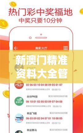 新澳门精准资料大全管家婆,最新研究解释落实_探险版IP.5.268