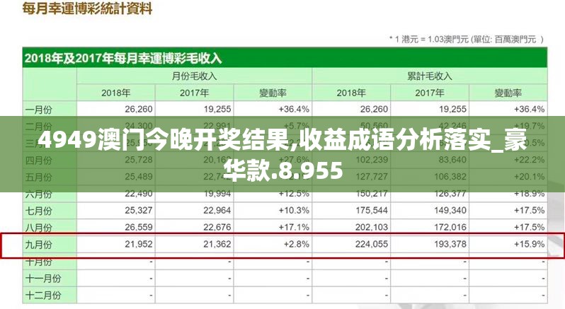 4949澳门今晚开奖结果,收益成语分析落实_豪华款.8.955