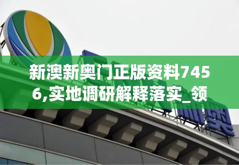 新澳新奥门正版资料7456,实地调研解释落实_领航型.9.114