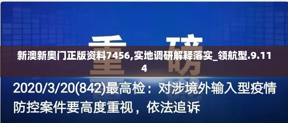 新澳新奥门正版资料7456,实地调研解释落实_领航型.9.114