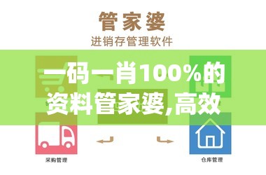 一码一肖100%的资料管家婆,高效解答解释落实_旗舰版SIP.1.159