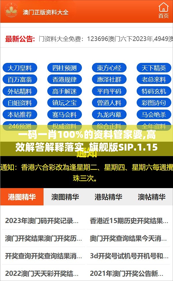 一码一肖100%的资料管家婆,高效解答解释落实_旗舰版SIP.1.159