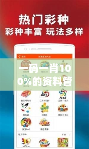 一码一肖100%的资料管家婆,高效解答解释落实_旗舰版SIP.1.159