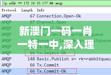 新澳门一码一肖一特一中,深入理解各种问题的解决方案_macOS.1.610