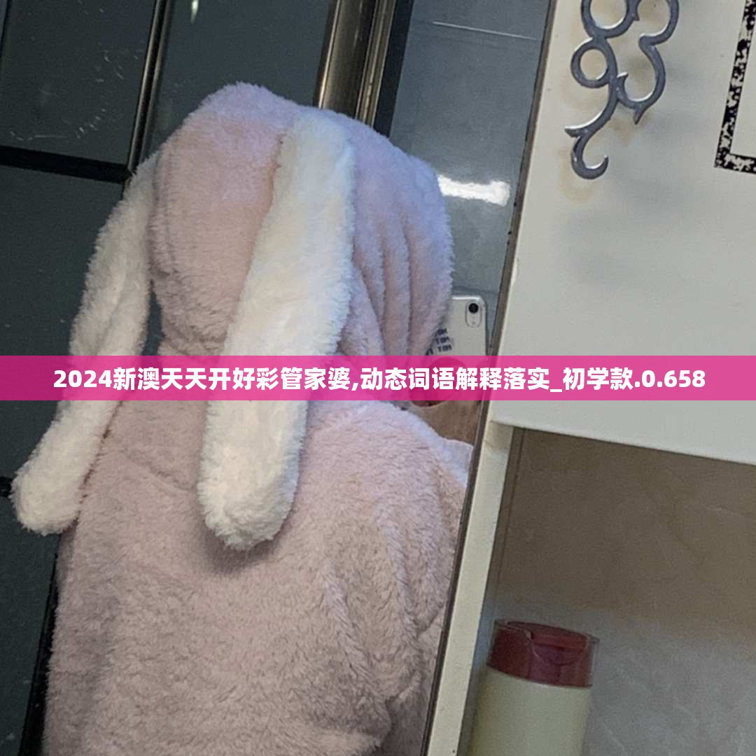 2024新澳天天开好彩管家婆,动态词语解释落实_初学款.0.658