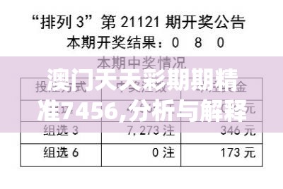 澳门天天彩期期精准7456,分析与解释成语的收益与意义_典藏款.0.922