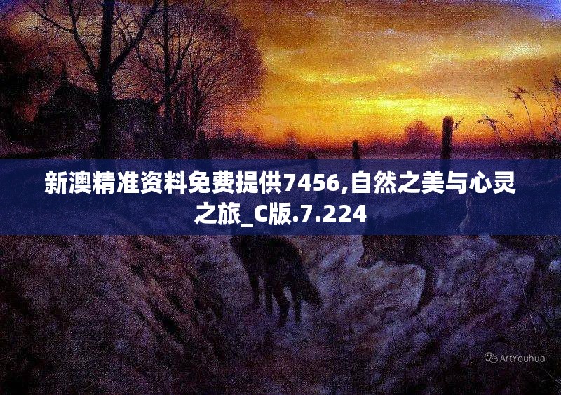 新澳精准资料免费提供7456,自然之美与心灵之旅_C版.7.224