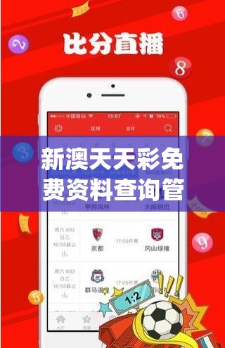 新澳天天彩免费资料查询管家婆,分析与解释成语的收益与意义_匹配版.9.730