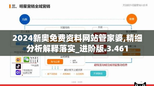 2024新奥免费资料网站管家婆,精细分析解释落实_进阶版.3.461