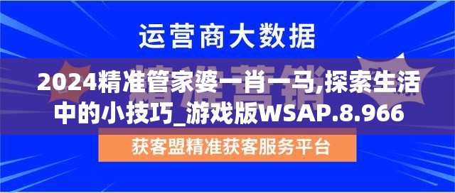 2024精准管家婆一肖一马,探索生活中的小技巧_游戏版WSAP.8.966