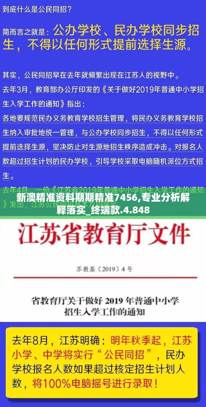 新澳精准资料期期精准7456,专业分析解释落实_终端款.4.848