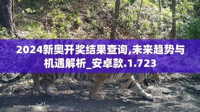 2024新奥开奖结果查询,未来趋势与机遇解析_安卓款.1.723