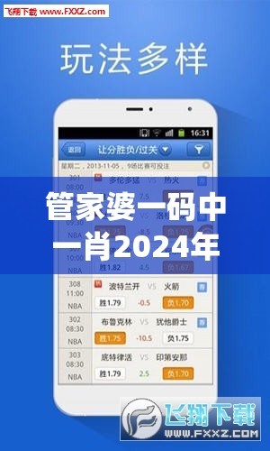 管家婆一码中一肖2024年管家婆,数据资料解释落实_游戏版IPAD.9.601