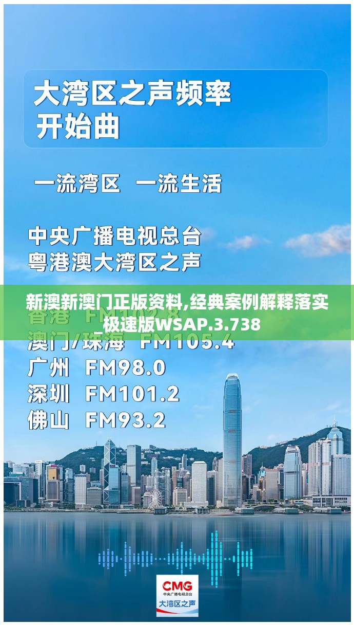 新澳新澳门正版资料,经典案例解释落实_极速版WSAP.3.738