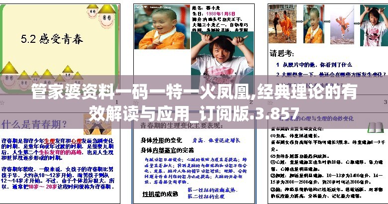 管家婆资料一码一特一火凤凰,经典理论的有效解读与应用_订阅版.3.857