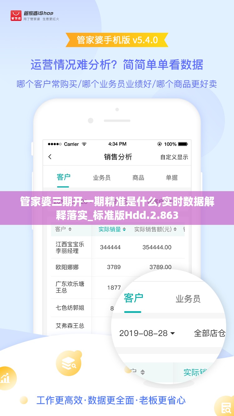 管家婆三期开一期精准是什么,实时数据解释落实_标准版Hdd.2.863