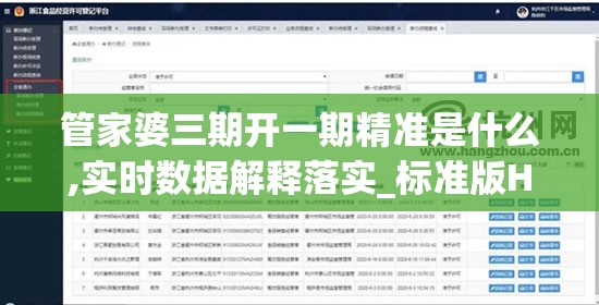 管家婆三期开一期精准是什么,实时数据解释落实_标准版Hdd.2.863
