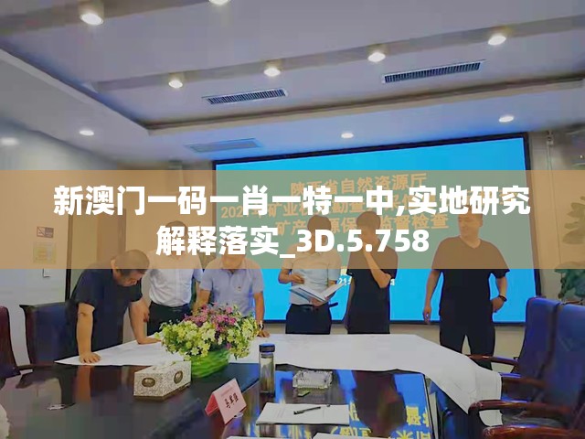 新澳门一码一肖一特一中,实地研究解释落实_3D.5.758