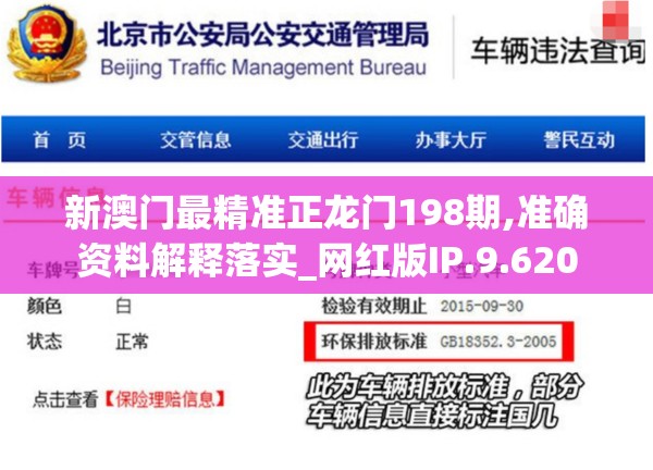 新澳门最精准正龙门198期,准确资料解释落实_网红版IP.9.620