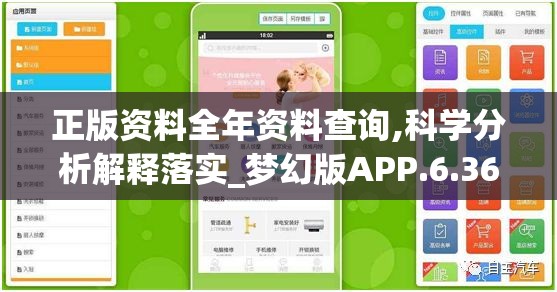 正版资料全年资料查询,科学分析解释落实_梦幻版APP.6.366