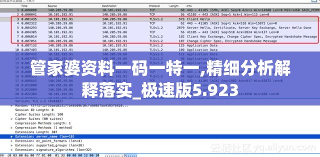管家婆资料一码一特一,精细分析解释落实_极速版5.923