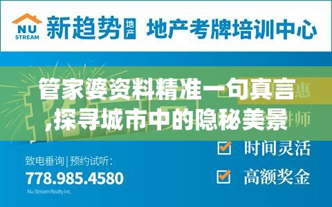 管家婆资料精准一句真言,探寻城市中的隐秘美景_先锋版MIixue.3.628
