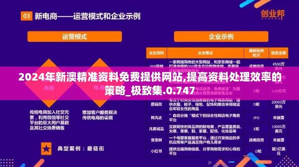 2024年新澳精准资料免费提供网站,提高资料处理效率的策略_极致集.0.747