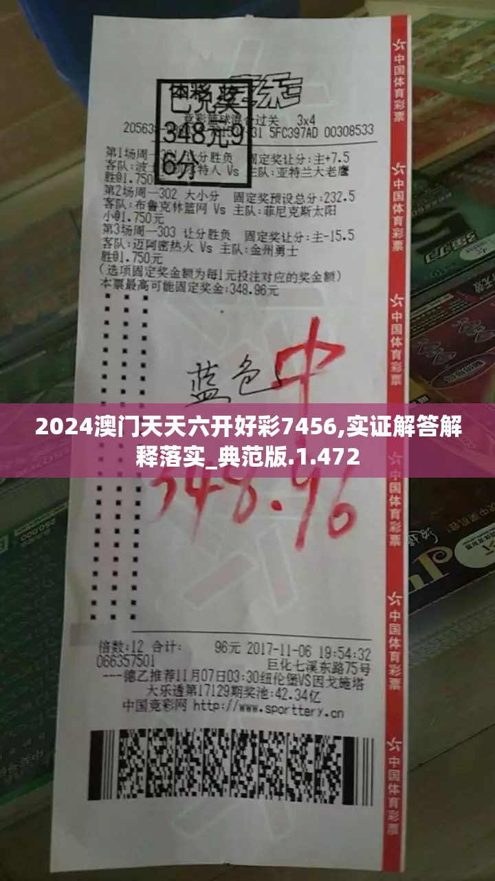 2024澳门天天六开好彩7456,实证解答解释落实_典范版.1.472
