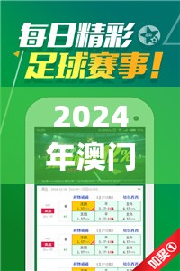 2024年澳门天天开好彩大全,探索生活中的小技巧_奢侈款.8.66