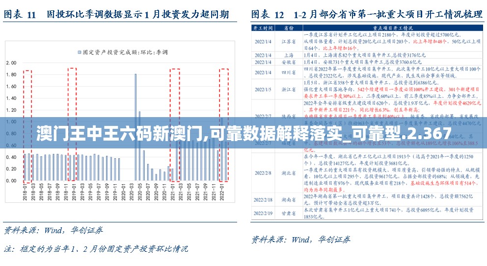 澳门王中王六码新澳门,可靠数据解释落实_可靠型.2.367