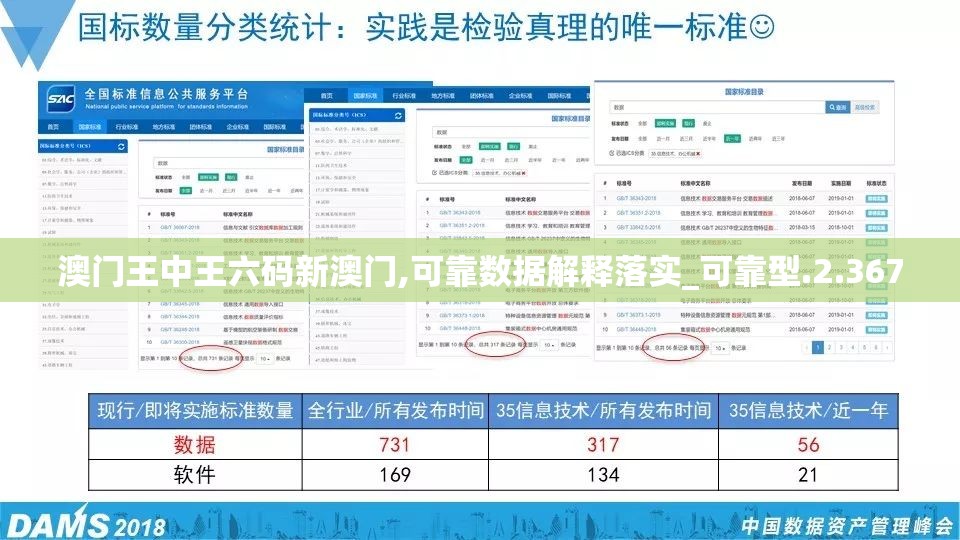 澳门王中王六码新澳门,可靠数据解释落实_可靠型.2.367