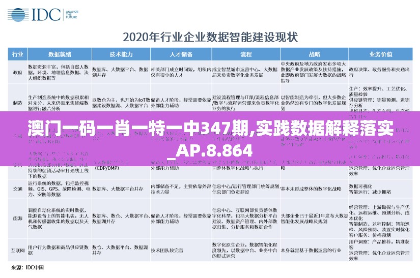 澳门一码一肖一特一中347期,实践数据解释落实_AP.8.864