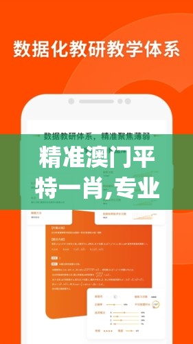 精准澳门平特一肖,专业解答解释落实_统筹版.9.304