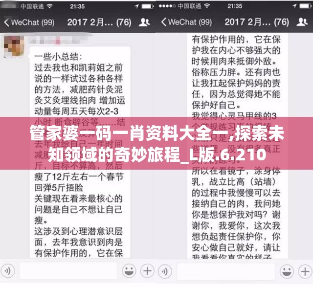 管家婆一码一肖资料大全一,探索未知领域的奇妙旅程_L版.6.210