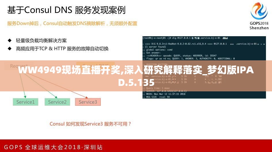 WW4949现场直播开奖,深入研究解释落实_梦幻版IPAD.5.135