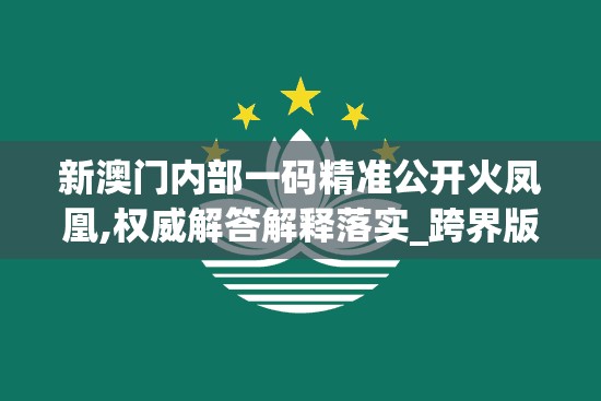 新澳门内部一码精准公开火凤凰,权威解答解释落实_跨界版.0.15