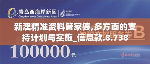新澳精准资料管家婆,多方面的支持计划与实施_信息款.8.738