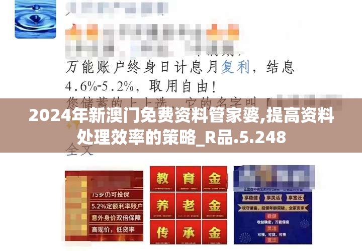 2024年新澳门免费资料管家婆,提高资料处理效率的策略_R品.5.248