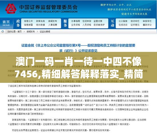 澳门一码一肖一待一中四不像7456,精细解答解释落实_精简版Meituan.3.317