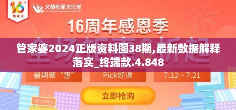 管家婆2024正版资料图38期,最新数据解释落实_终端款.4.848