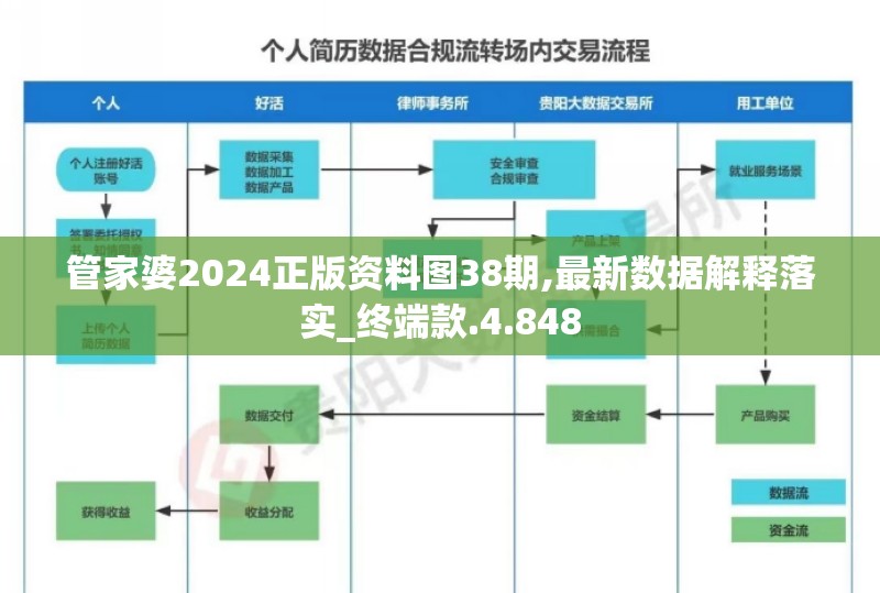 管家婆2024正版资料图38期,最新数据解释落实_终端款.4.848