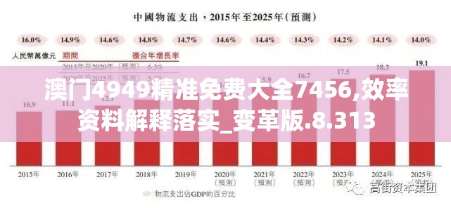 澳门4949精准免费大全7456,效率资料解释落实_变革版.8.313