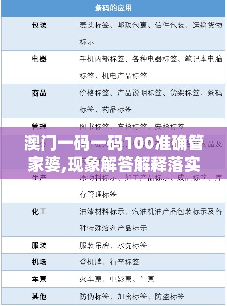 澳门一码一码100准确管家婆,现象解答解释落实_未来版6.713
